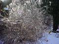 Winter Wonderland 2